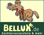 Banner von Bellux